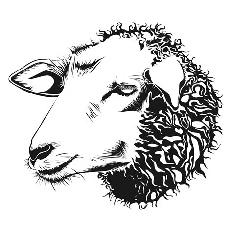 sheep line drawing|sheep drawings free.